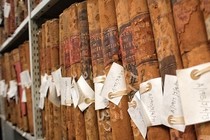 Shelves containing archive volumes